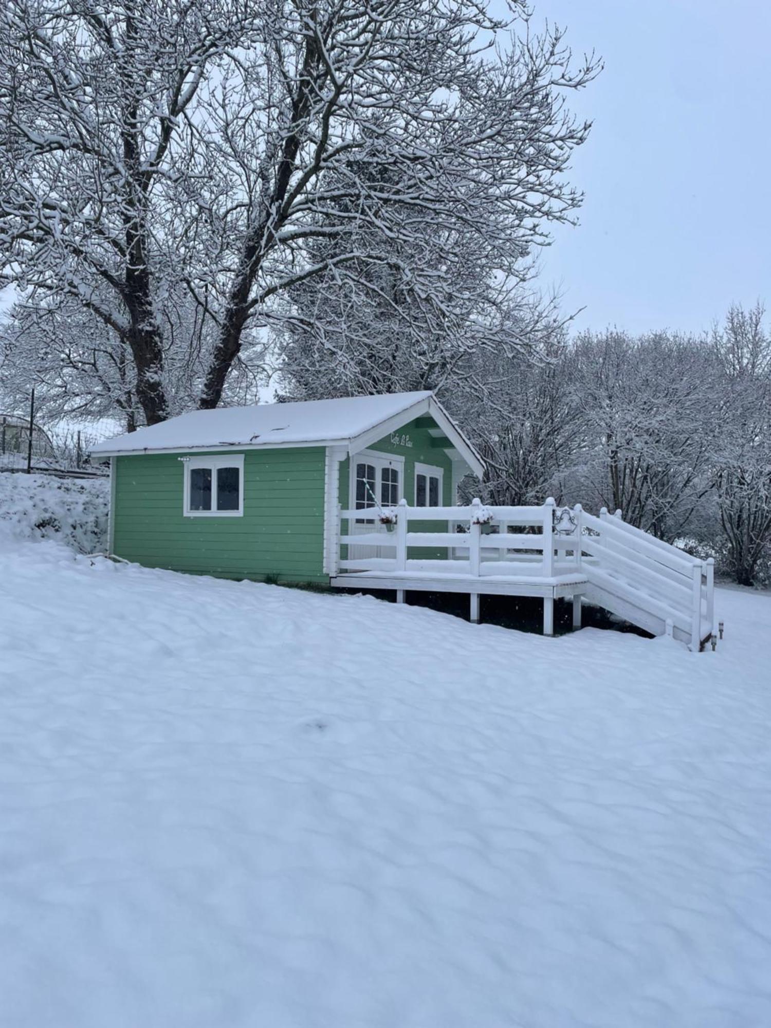 La Paix, Chalet De Charme Dans Le Bocage Normand Condé-sur-Noireau Exterior foto